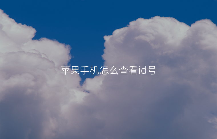 苹果手机怎么查看id号