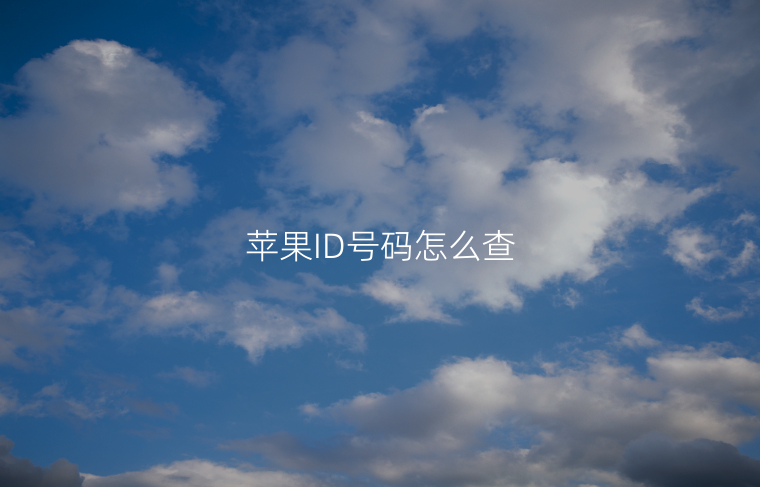 苹果ID号码怎么查