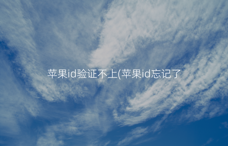 苹果id验证不上(苹果id忘记了账号怎么办)